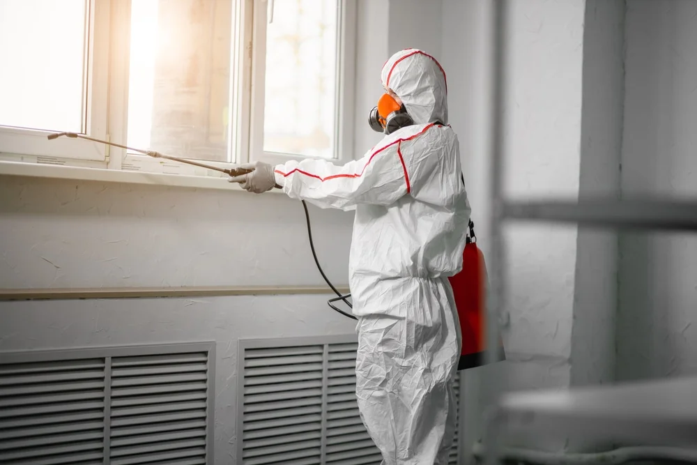 Professional mold remediation services in Altamonte Springs, FL